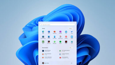 windows 11